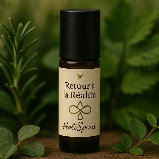 Retour à la réalité